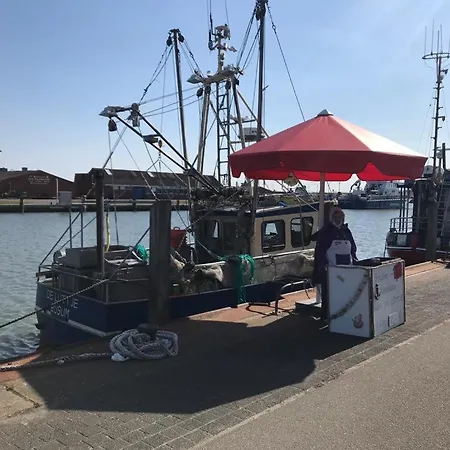 kutterbude Büsum - Bude I Exterior foto
